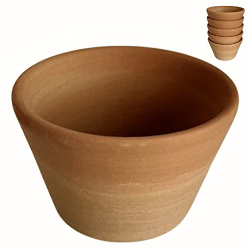 Regalami.shop set di 5 vasetti Deruta in terracotta rossa cm 8x6 per piante (5)