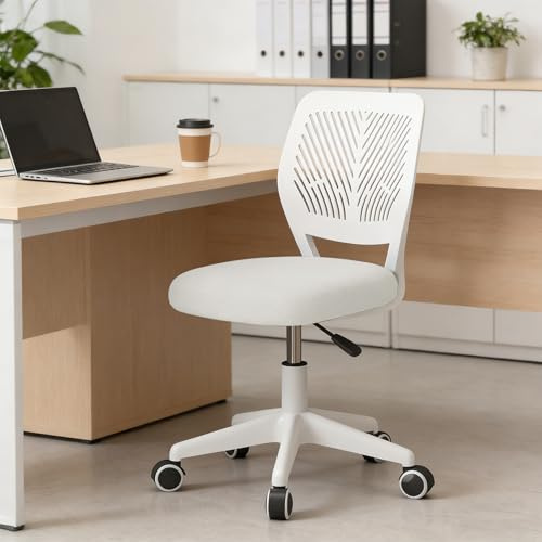 HDHNBA Höhenverstellbarer Homeoffice-Stuhl ohne Armlehnen – runder Schreibtisch-Rollhocker mit Rückenlehne (White, Pack of 1, 16INCH)