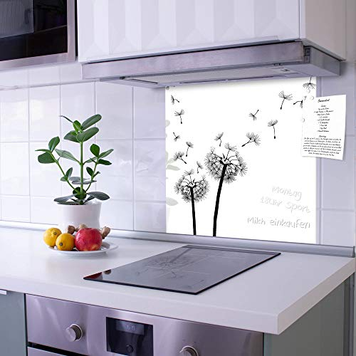 banjado Küchenrückwand Glas ohne Bohren 50x50cm – Glasrückwand Küche mit Motiv Pusteblume 2 / Spritzschutz Küchenrückwand Glas/selbstklebende Küchenrückwand Platte - magnetisch & beschreibbar