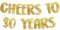 Sterling James Co. Goldfarbenes Glitzerbanner zum 30. Jahrestag und Geburtstag, Party-Dekoration