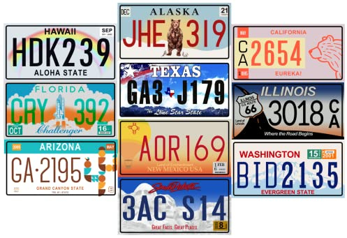 - Set of 10 metal USA car LICENSE PLATES - replicas of real American plates of the most famous American states - MAD