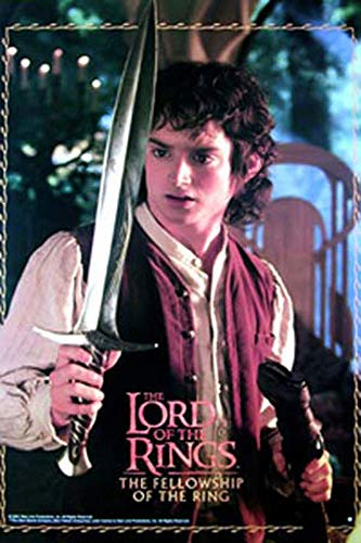 Lord of The Rings - Frodo - Filmposter Kino Movie XXL-Poster Herr der Ringe Fantasy Grösse 70x100 cm