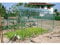 Serra a Tunnel per Orto 200 x 300 x h 180 cm - Serra Premium VERDEMAX 2640