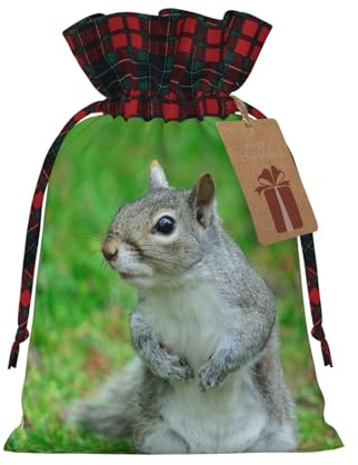 LAMAME Eichhörnchen gedruckt Weihnachten Kordelzug Geschenktüten mit Kraft Etiketten Geschenkpapier Taschen