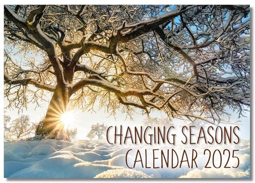 Jahreskalender 2025 A4 | Monatsansicht | A3 geöffnet | Wandkalender von Absolutely Yours.