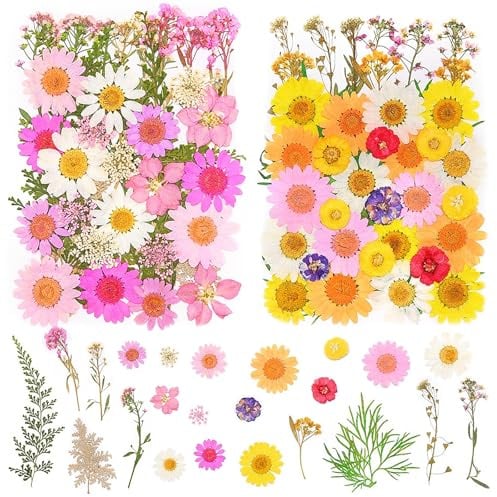 pclapora 81 Stück Getrocknete Gepresste Blumen, Natürliche Getrocknete Blumen, DIY Trockenblumen Deko, Trockenblumen zum Basteln, für DIY Kerzen Harz Anhänger Scrapbook Fotorahmen Dekoration