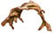 Nobby legno acquario decorativo, 28.5 x 12.5 x 15 cm
