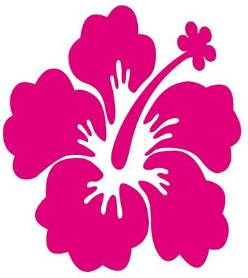 FahnenMax Autoaufkleber Sticker Hibiskus Blüte Blume pink rosa Aufkleber