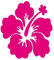 FahnenMax Autoaufkleber Sticker Hibiskus Blüte Blume pink rosa Aufkleber