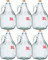 6er SET GLASBALLON GÄRBALLON FLASCHE GLASFLASCHE WEINBALLON GLAS BALLON 3L BDG3Z