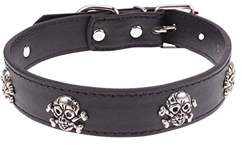 Halloween für Haustiere mit Totenkopfmotiv Halloween Feier