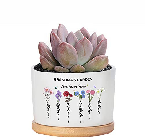 Pekdi Cadeau personnalisé pour la fête des mères, Pot de Fleurs du Mois de Naissance, Pot de Fleurs du Jardin de Grand-mère, Pot de succulentes du Jardin de Maman avec Fleur du Mois de Naissance