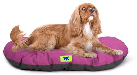 Ferplast Panier Chien Relax, Coussin Chiens Moyen, Panier Chat, Tapis pour chenils et Voitures, Lavable, en Coton avec Rembourrage Doux, 65 x 42 cm. Violet
