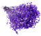 QZKJQDD Trockenblumen, Schleierkraut Getrocknet, Trockenblumen Zum Basteln, Getrocknete Blumen, Trockenblumen Deko, Geeignet für Geschenkbox, Scrapbooks, Duftkerzen Handgefertigt (Lila—5 Stöcke)
