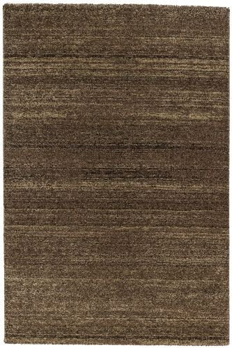 Teppich Samoa in Braun Rug Size: 200 x 290cm