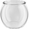 JTBDWOSK Clear,17CM, Pets, Kugelaquarium, Nemo, 4 Liter, PET ECO Kunststoff, Transparentes Design,Leicht zu reinigen, Robust, Ideal zur Wohnungsdekoration, Wasserpflanzen