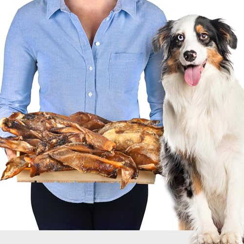 Rinderknorpel für Hunde 1 kg (ca.15–20 Stück), getreidefrei