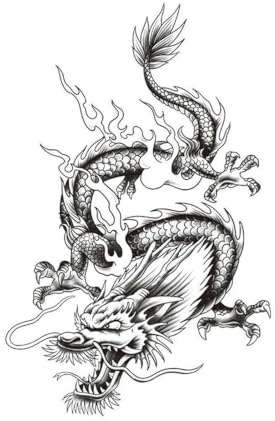 5 PCS Temporary Tattoos Autocollant De Tatouage Semi-Permanent À Base De Plantes, Motif Fleur De Dragon De Flamme, Tatouage De Simulation Imperméable Et Durable