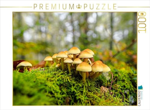 CALVENDO Puzzle Schwefelkopf | 1000 Teile Lege-Größe 64 x 48 cm Foto-Puzzle für glückliche Stunden