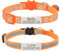 Senristar Personalisierte 2 Pack Reflektierende Katze Halsband, Benutzerdefinierte Breakaway Katze Halsbänder mit Namensschild und Glocke, Anti-Verlust Namensschild für Mädchen & Jungen