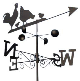 Garden Market Place Girouette en Acier avec Piquet et Fixation Murale pour Poules