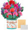 modacraft 3D Pop Up Grußkarten, Pop Up Karte Blumen mit Umschlag Nachrichtenkarten, Popup Karte für Geburtstag Valentinstag Graduierungszeremonie Hochzeiten Muttertag Jahrestag (Nelke)