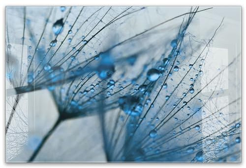 timalo Küchenbild aus Acrylglas modernes Wandbild Glasbild Deko Küche XXL Bild wie Glas | 60x40cm Blaue Pusteblume mit Regentropfen, Tau, Naturmotiv