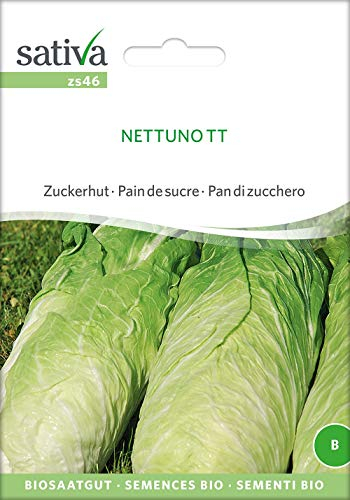 Sativa Rheinau zs46 Zuckerhut Nettuno Tt (Bio-Salatsamen)