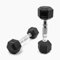 SUPRFIT - Hexagon Kurzhanteln paarweise mit gummiertem Eisenkern - Fitness Gewichte Hanteln 2 x 2 kg mit rutschfestem Chromgriff - Premium Kurzhantel Set für Calisthenics, Krafttraining & Crossfit