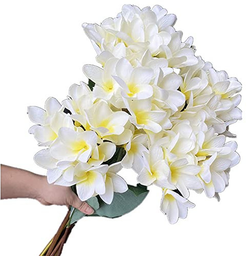 Gladiolus garden 5 Stück Seide Frangipani Blumen Baum Zweig künstliche Plumeria Rubra tropische Blumen für Zuhause Hochzeit Tafelaufsätze Zuhause Party Blumendekoration (weiß)