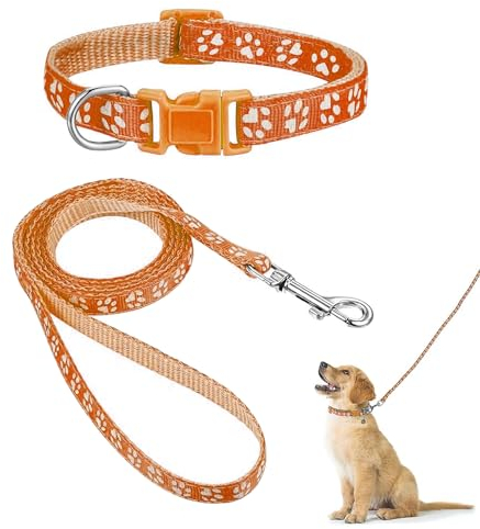 Hundehalsband und Leinen-Set, Welpenhalsband, Haustierleinen-Halsband, Halsband und Leine für Kleine und Mittelgroße Hunde, Haustierkatzenhalsband und Leine