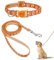 Hundehalsband und Leinen-Set, Welpenhalsband, Haustierleinen-Halsband, Halsband und Leine für Kleine und Mittelgroße Hunde, Haustierkatzenhalsband und Leine