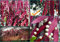 Pseudorhipsalis Rhipsalis Ramulosa * Red Rhipsalis * Vischio Cactus * 20 Semi