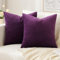 Slozzi 2er Set Samt Kissenbezüge Haushalt Dekokissen Dekorative Kissenhülle Weich Sofakissen für Sofa Schlafzimmer Wohnzimmer 45x45 cm Lila