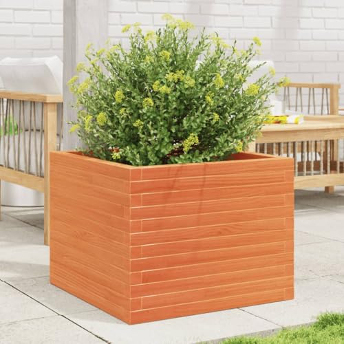 Hoopleep Pflanzkübel Wachsbraun 60x60x46 cm, Massivholz Kiefer, erhöhtes Garten Beet für Outdoor Pflanzen, groß, stabile Holzkiste