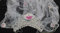 Gifts 4 All Occasions Limited SHATCHI-769 Diadem und Schleier mit Sternen und Strasssteinen, mehrfarbig