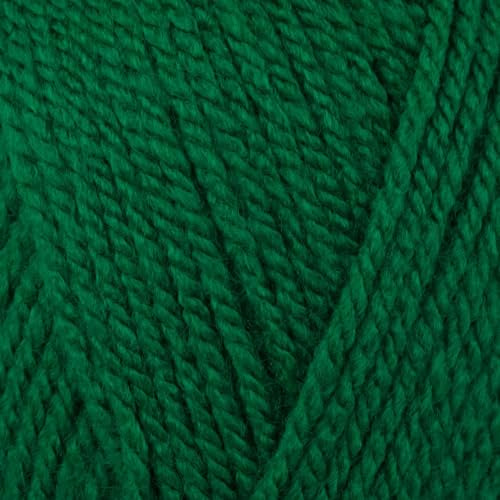 Stylecraft 9051116 Special Aran Green (1116) Yarn - 100g