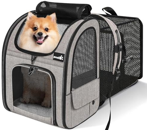 pecute Hunderucksack Erweiterbar XL für 6-10 kg, Faltbar Katzenrucksack Katzen mit Anti-offener Reißverschluss, Atmungsaktive Rucksack Hund mit Netz Fenster Grau, für Hunde Katzen Haustiere