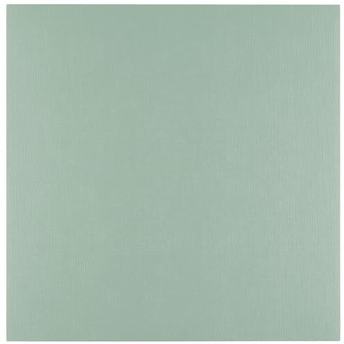 Florence Tonkarton 30,5 x 30,5 cm - 100 St. mit Leinen Struktur Iguana (Grün) 250 g - Scrapbooking Bedarf und Bastelpapier für Kartenbasteln, Scrapbooking und Journaling - Reißfest Buntpapier