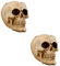 INOOMP 2st Schädeltopf Kleine Sukkulententöpfe Skelett- Halloween-süßigkeitenschale Kaktus-pflanzgefäße Zuckerschüssel Übertopf Mit -Pflanze Schädel-Statue-skulptur Harz