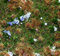 FALLER FA 180475 - Landschafts-Segment Waldboden, White