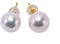 Ohrstecker 18 Karat Gold Akoya-Zuchtperle Weiß 8,5 mm