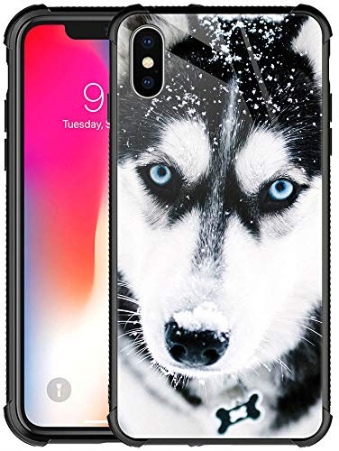 CARLOCA Compatible with iPhone Xs Max Case,iPhone Xs Max Cases for Girls Women Boys,Husky Dog Muzzle Blue Eyed Pattern Design Shockproof Anti-Scratch Case for iPhone Xs MAX