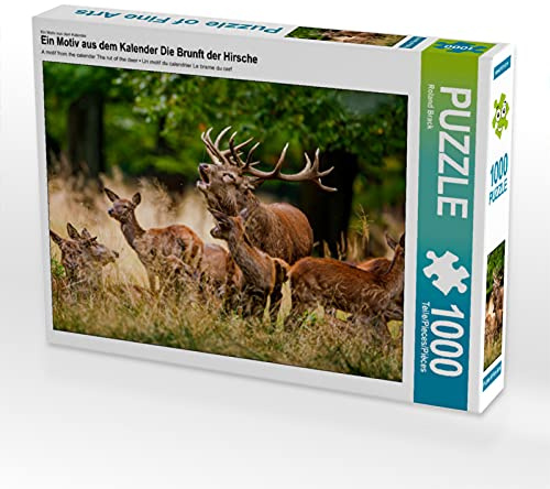 CALVENDO Puzzle EIN Motiv aus dem Kalender Die Brunft der Hirsche | 1000 Teile Lege-Größe 64 x 48 cm Foto-Puzzle für glückliche Stunden