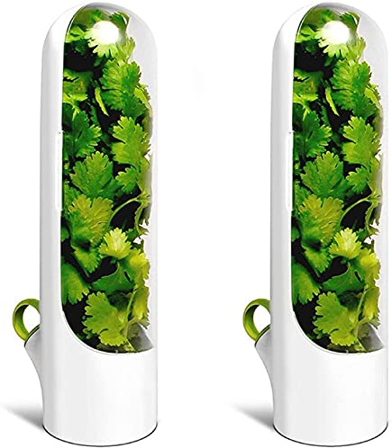 DSGDSF Lot de 2 boîtes de conservation d'herbes aromatiques pour réfrigérateur Conteneurs transparents pour coriandre, menthe, asperges