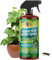 Fungus Gnat Killer Spray 200ml | Organic Protection Against Sciarid Flies | Effective for Houseplants, Seedlings | Safe for Indoor & Outdoor Use | Targets Adults & Larvae | Eco-Friendly Formula