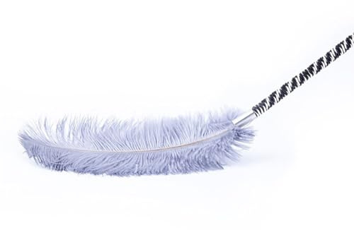 Plumeau sensuel en plumes douces – Accessoire érotique pour jeux de rôle et BDSM