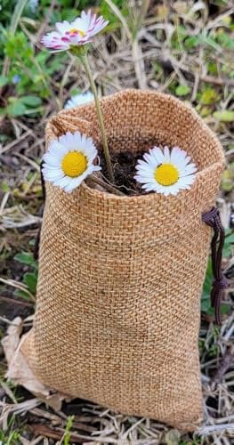 Concime Humus di lombrico 100% uso biologico italiano - Fertilizzante Naturale, Terriccio, Concime per Piante, Fiori e Orto Regehum H – Micronizzato per Giardieo e Piante – Inodori (5 Litri)