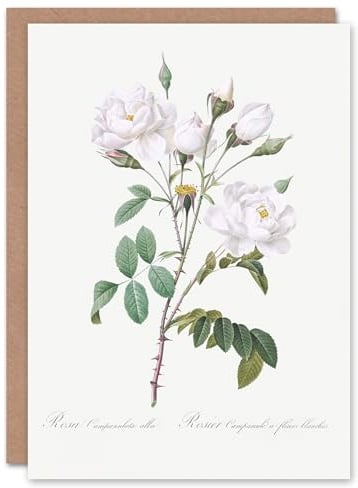 Artery8 Pierre-Joseph Redouté Art Card White Rose Vintage Floral Illustration
