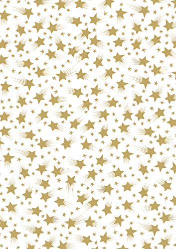 MarpaJansen Transparentpapier - Design-Transparentpapier - (DIN A4, 10 Bogen, 115 g/m²) - Sternenzauber weiß / gold